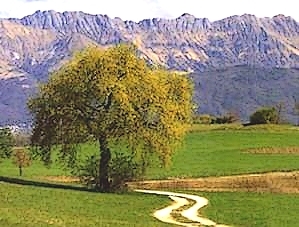 Italienischkurse in 50 Stdten Italiens