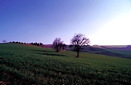 Italienischkurse in Urbino