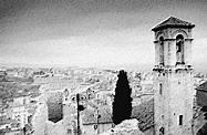 Italienischkurse Campobasso