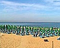 Sprachurlaub am Meer